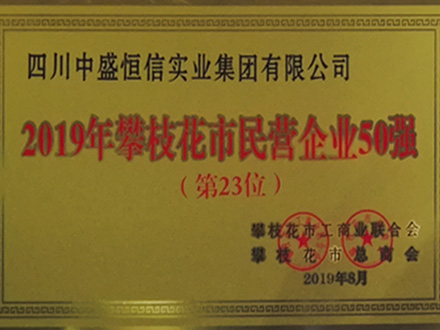 2019-攀枝花市民營企業(yè)50強